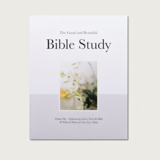 Bible Study: The Holy Experience